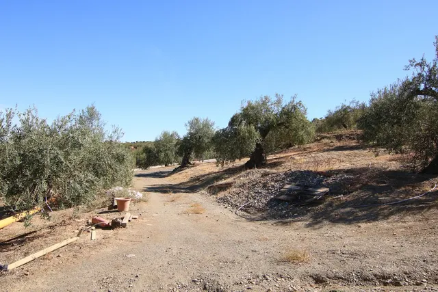 Finca rural con proyecto turístico en Tolox (Málaga) - 6.000 m² — 12