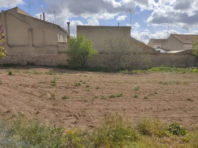 SOLAR DE 2.000 M2 EN ALPERA CON EXCELENTE UBIACION, REPARCELADO PARA LA construcción DE CASAS UNIF. — 6
