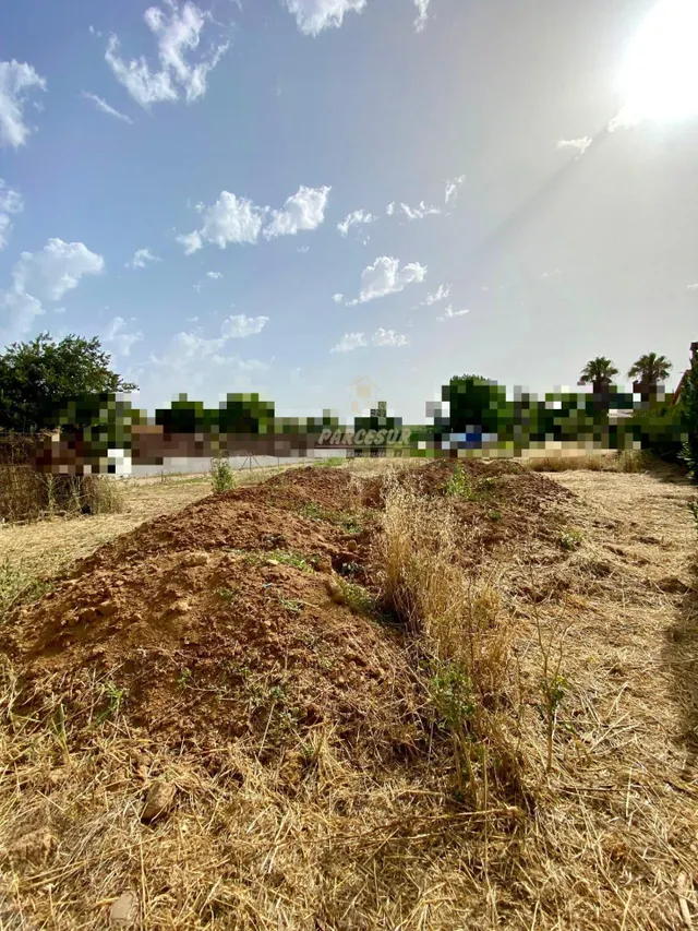 ZONA ALAMILLO - Villarrubia . Parcela de terreno de 1.250 m2 - foto 3