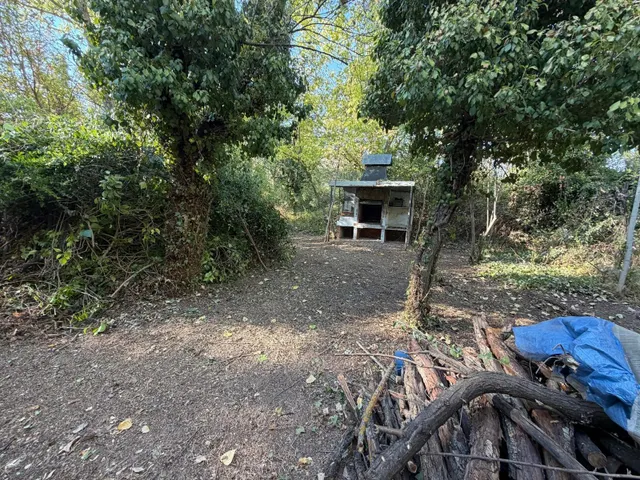 FINCA CON VIVIENDA PARA VENTA - foto 5