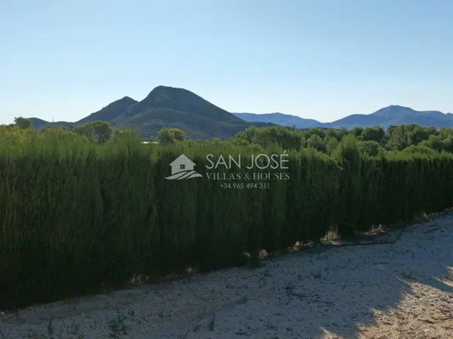 INMOBILIARIA SAN JOSE VENDE ESTUPENDO CHOLLO DE  CHALET EN POZOBLANCO-MONFORTE DEL CID — 38