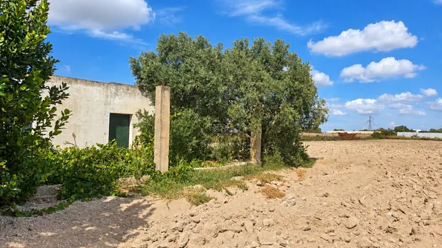 Parcela segregada - rústica con edificación para reformar en miralamar — 7