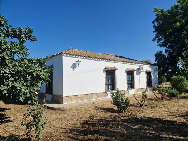 Finca rústica con dos viviendas, piscina y 56.000 m2 de tierras de regadío a 10 minutos de Jerez — 32
