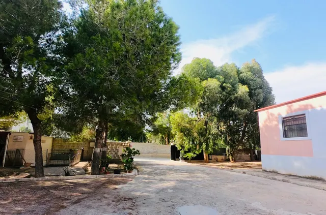 FANTÁSTICA CASA DE CAMPO CON CASITA DE MADERA PARA INVITADOS - foto 5