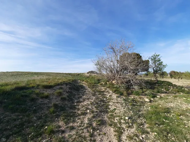 TERRENO PARA SU CASA DE CAMPO EN CANTO BLANCO — 8