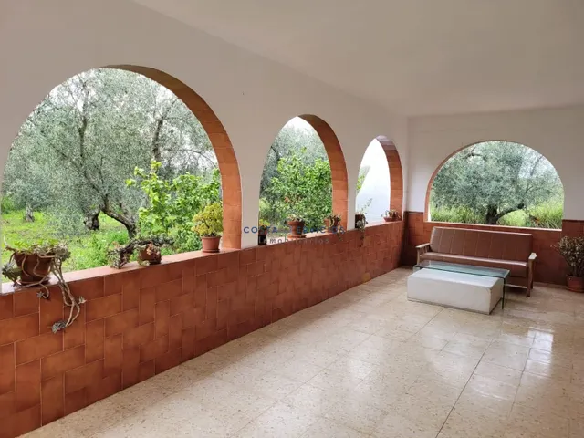 Finca Rustica En Gibraleon — 12
