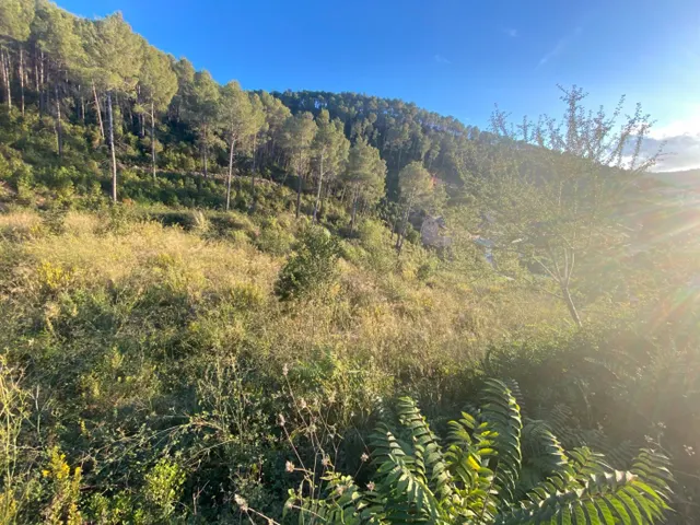 Fantastico terreno en Vallirana - En el sector el pinar, parte alta. — 16