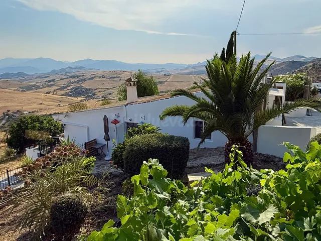 Finca rústica 5 habitaciones 450m² en venta - South of spain - foto 4