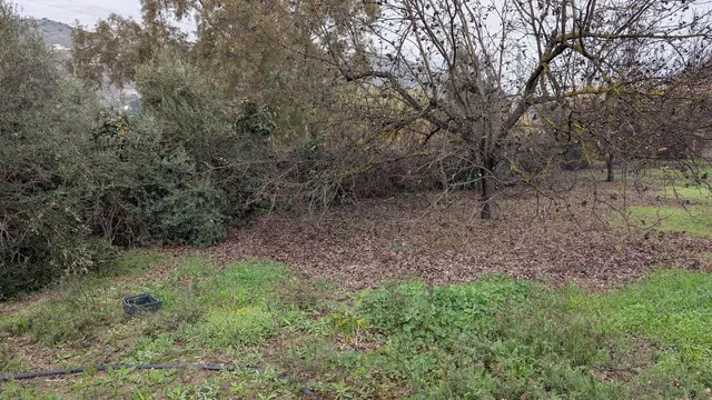 Parcela en venta - Puerto Sol-Los Almendros-El Tomillar — 9