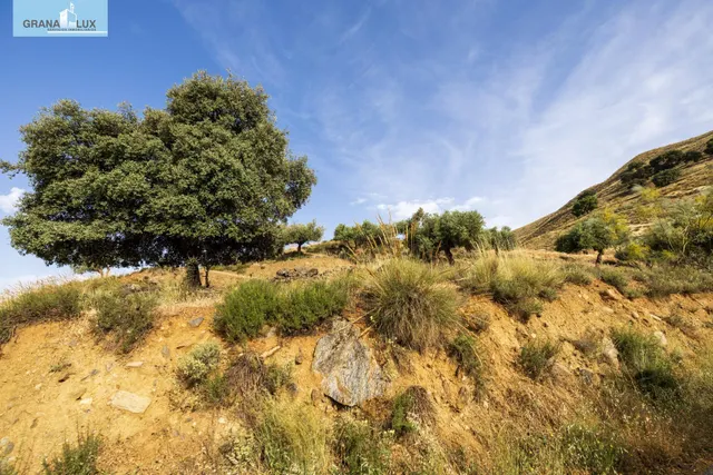 En Venta Maravilloso Paraje Natural, a medio camino entre Granada y Sierra Nevada, a veinte minutos en coche, desde cada una de ellas. — 6