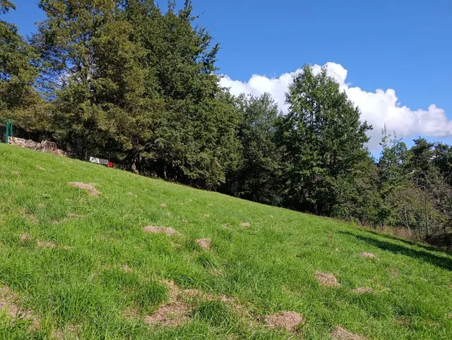 Terreno urbano en venta - Trubia — 13