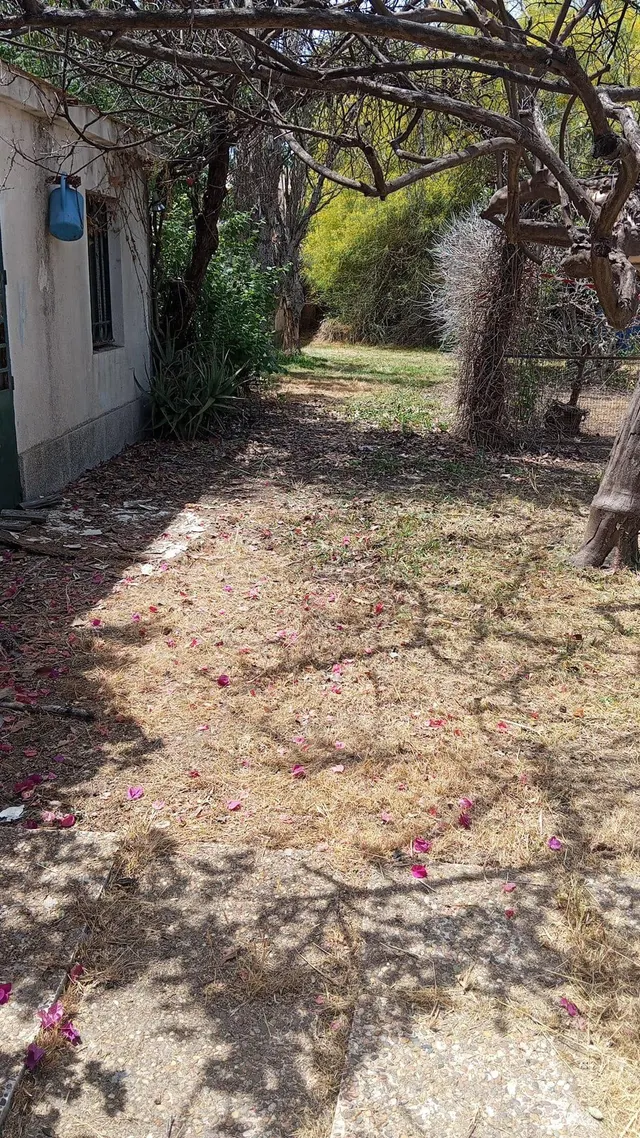 Exclusiva propiedad de 2.012 m2 en santa clara | tres fincas registrales en una de las mejores zonas de Sevilla — 15
