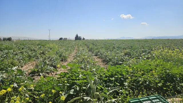 Se vende suelo agrícola en Corvera – más de 20.000 m2 — 2