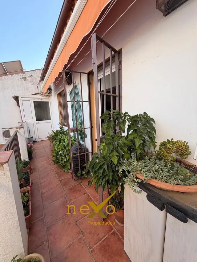 CASA DOS PLANTAS. ZONA NECRÓPOLIS — 22