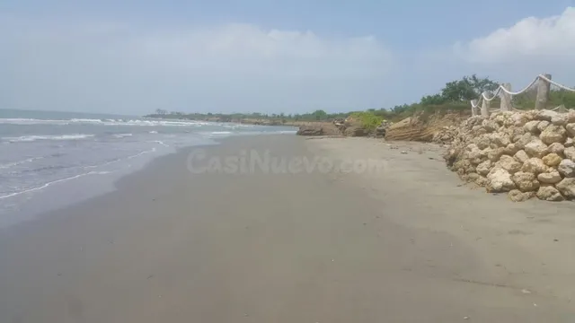 Venta de terreno con playas en sector de Punta Canoa - foto 5