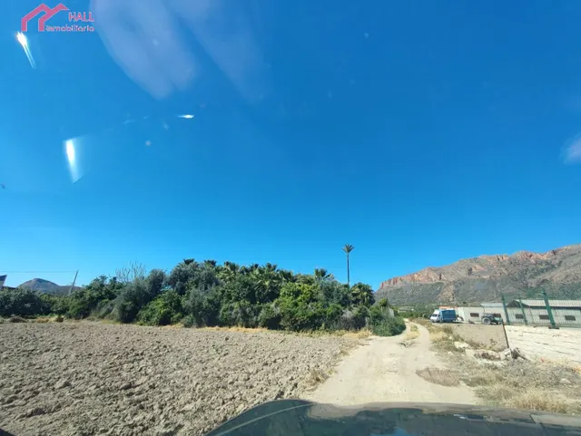 PARCELA RUSTICA EN EL SISCAR — 8