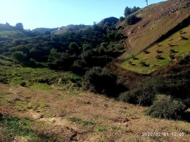 CORTIJO PARA TI Y TUS ANIMALES — 33