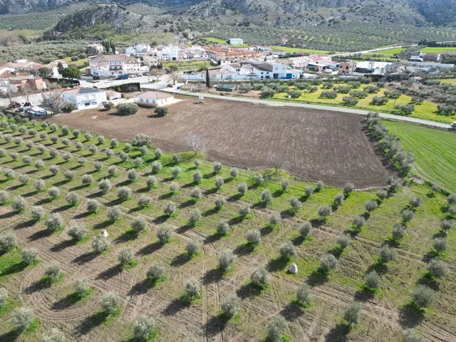 Parcela en venta - Andalucia - foto 2