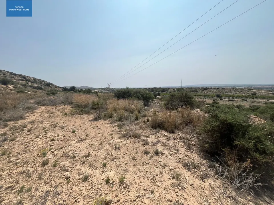 SE VENDE PARCELA RÚSTICA EN ELCHE ZONA BUENOS AIRES