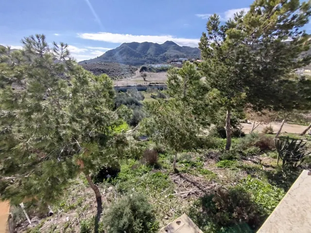 Finca con Alma en Leiva: 6.800m2 de Olivos, Piscina y el Mar - foto 4