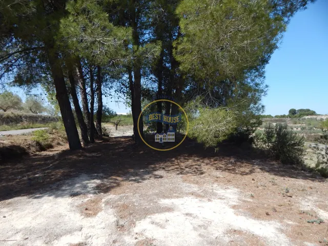 TERRENO EN PRODUCCIÓN CON PEQUEÑA CONSTRUCCIÓN EN PALOMAR(VALENCIA) — 5