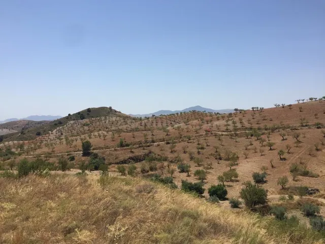 Espectacular Finca en Lorca con Vistas Impresionantes y Gran - foto 2