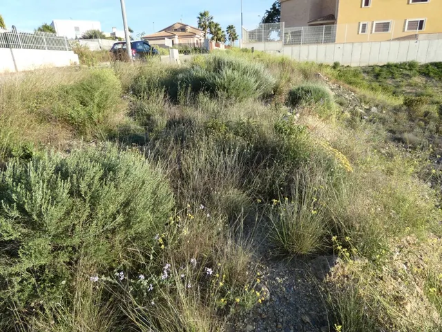 ++Terreno urbano en Molina de Segura zona urbanizacion  El chorrico IV++, 810 m — 5