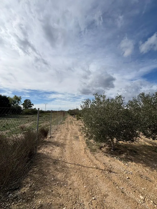 SE VENDE TERRENO CON UNA CABAÑA DE MADERA EN FORTUNA - foto 3