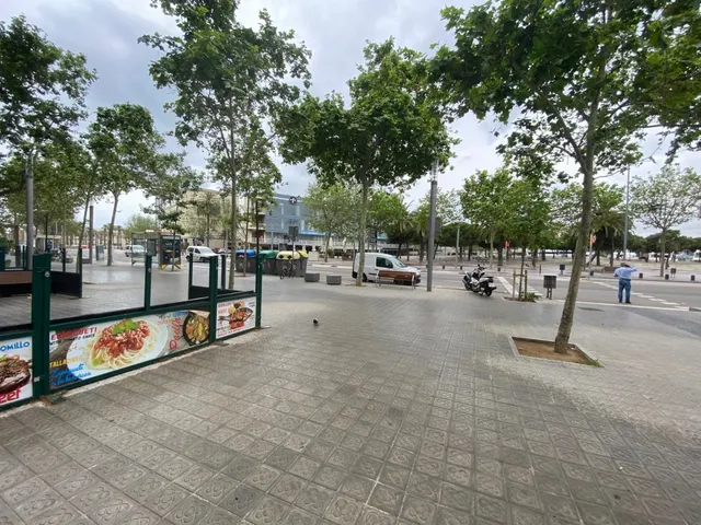 Local diafano en acera "Prime" Passeig Joan de Borbó — 13