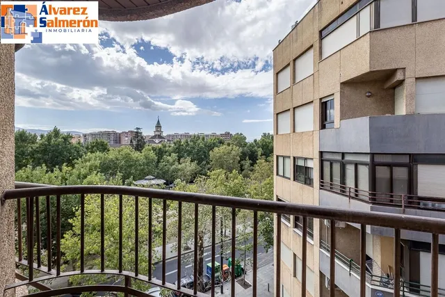 Pisazo en paseo del salón - Granada — 21