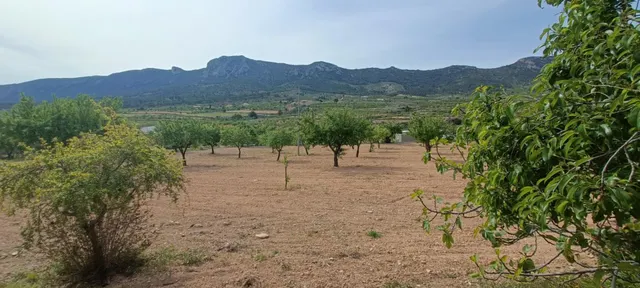 Villa 4 habitaciones 105m² en venta - Comunidad valenciana — 10