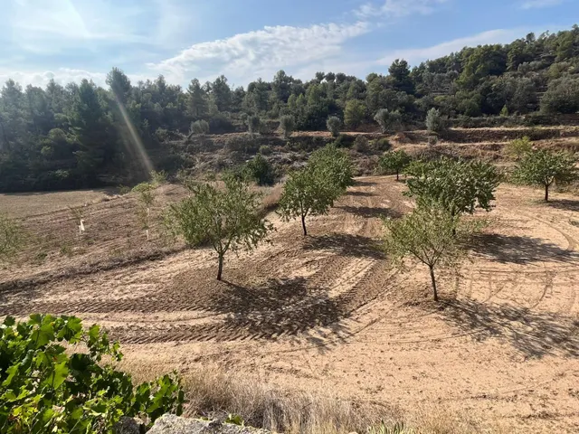 Finca con pozo productivo y maset en Valjunquera — 8