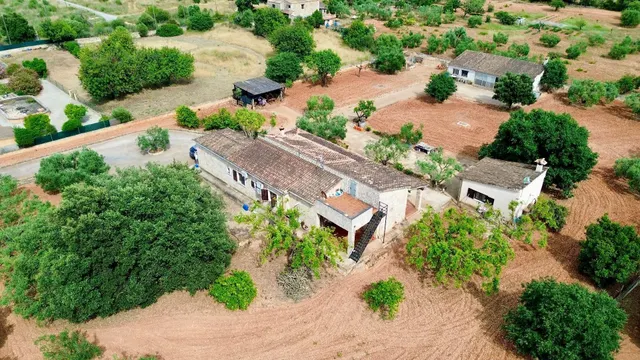 El placer de vivir en paz: acogedora finca rústica en Inca - foto 5