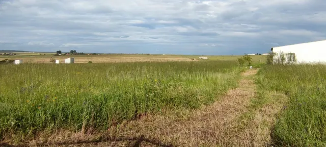 ¡Casa de 88m2 con 14000 m2 de terreno! - foto 4