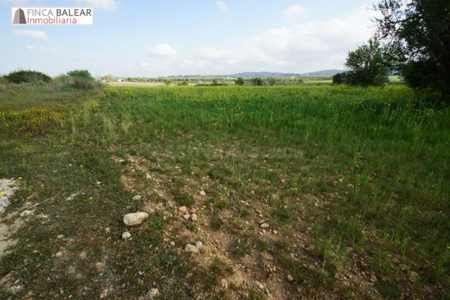 FINCA RUSTICA UBICADA EN ALGAIDA CON PROYECTO Y LICENCIA (CA - foto 5