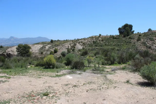 Se vende casa-cueva en Monovar con 2000 metros de terreno!!! — 14