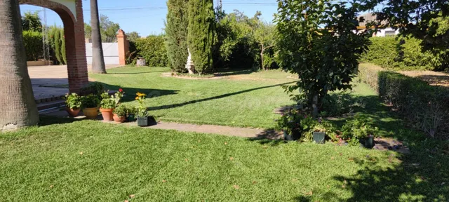 CASA Y TERRENO MUY CERCA DE CÓRDOBA, HIGUERÓN — 5