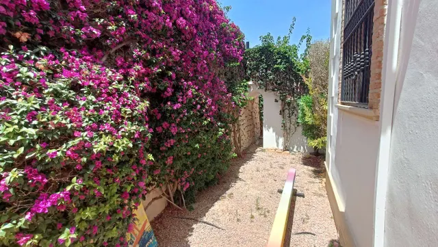 Villa 3 habitaciones 132m² en venta - Comunidad valenciana — 49