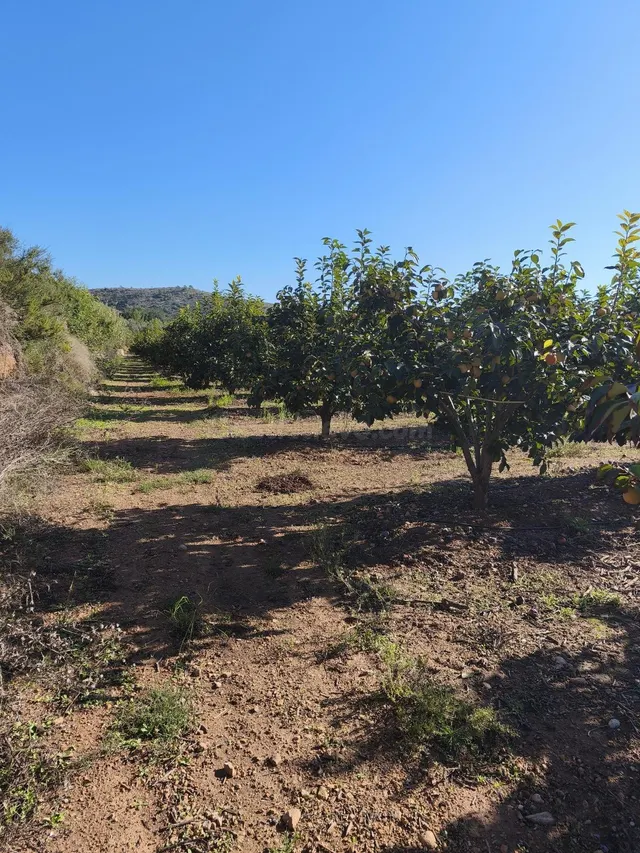 Terreno rural en venta - Comunidad valenciana - foto 4