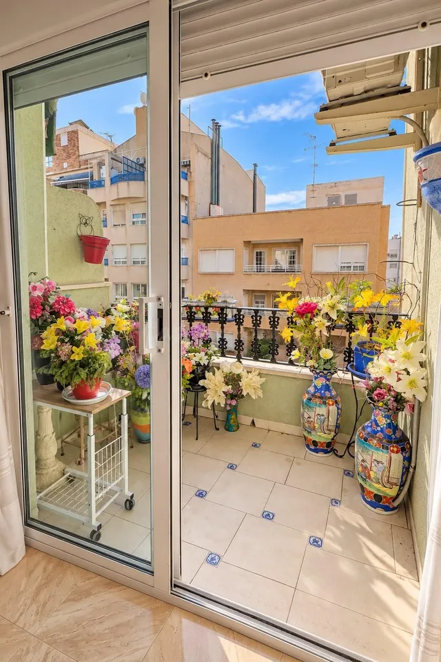 ¡alquiler larga temporada! apartamento 3 dormitorios en el centro de Torrevieja — 3