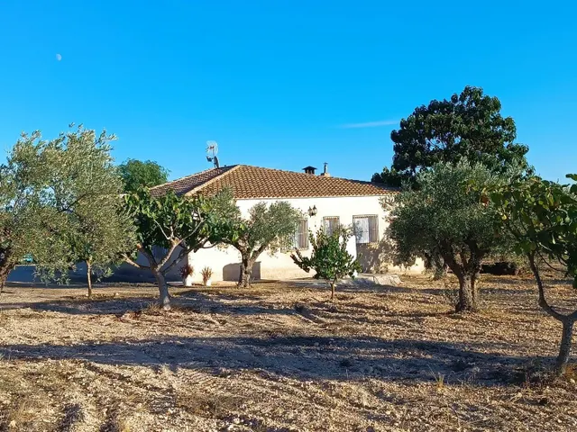 Piso 5 habitaciones 200m² en venta - Ayuntamiento - foto 4