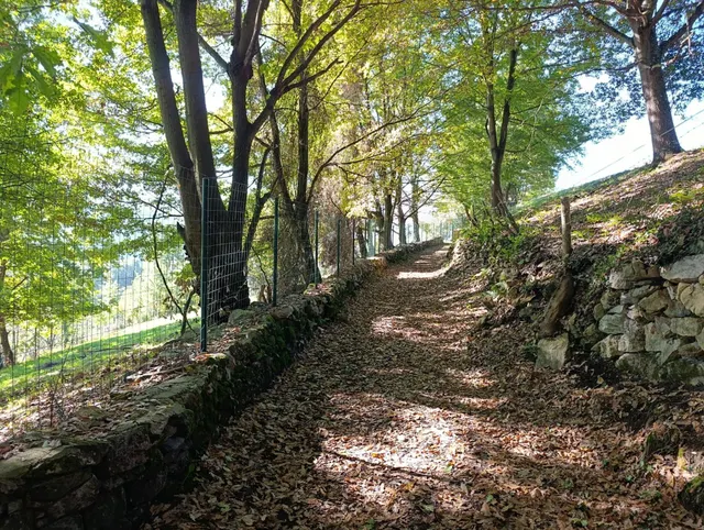 Terreno urbano en venta - Trubia — 41