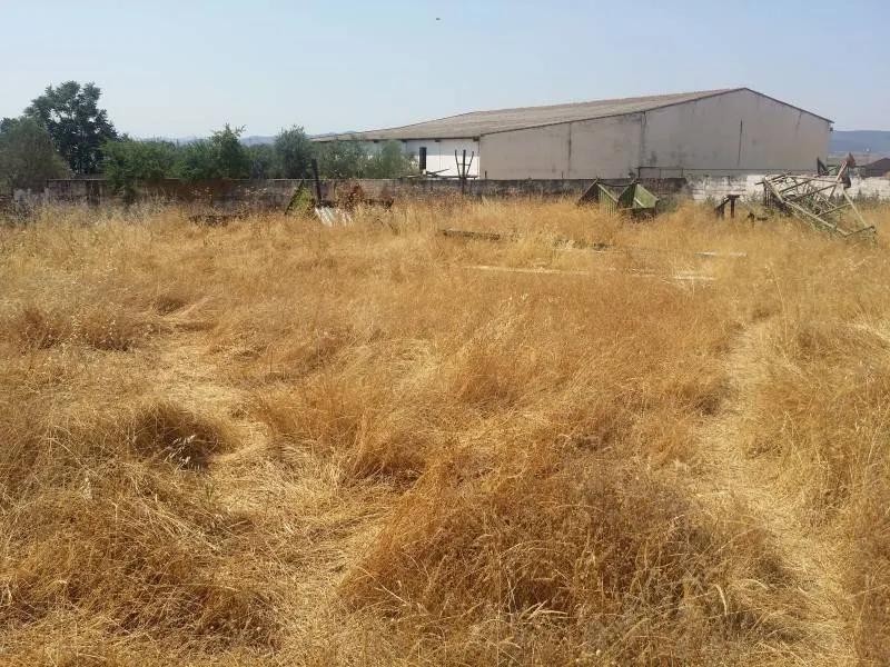 SOLAR URBANIZABLE EN PEÑARROYA-PUEBLONUEVO