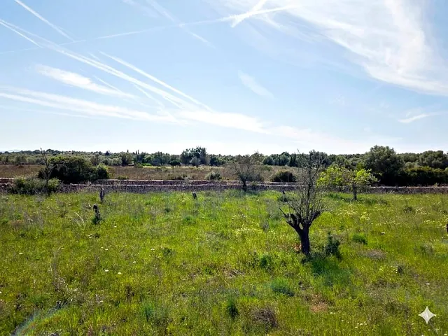 Solar residencial en Venta en Santa Margalida Baleares - foto 4
