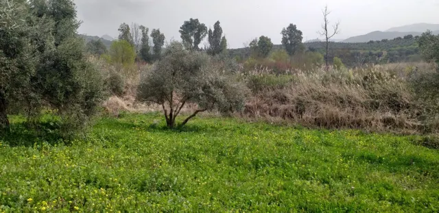 Se vende Parcela en Algodonales - foto 2