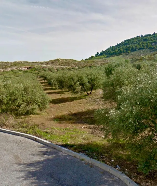 NIVAR - FINCA DE OLIVOS — 27