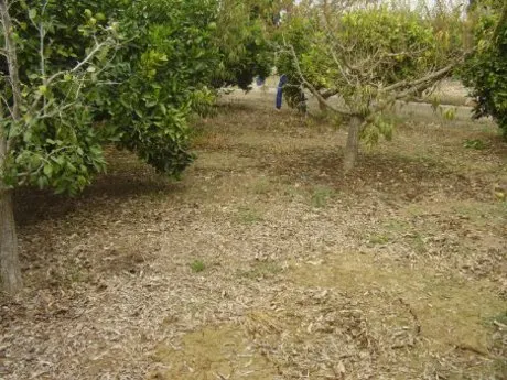 ++OCASION++TERRENO EN VENTA EN BUENA ZONA DE LA RIBERA DE MOLINA+ — 8