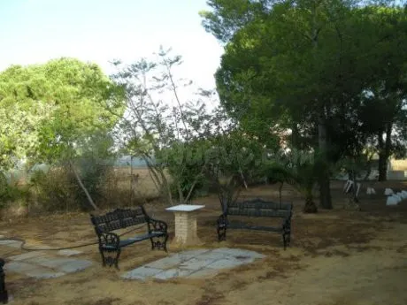 Casa con terreno 2 habitaciones 100m² en venta - Alcala de G - foto 4
