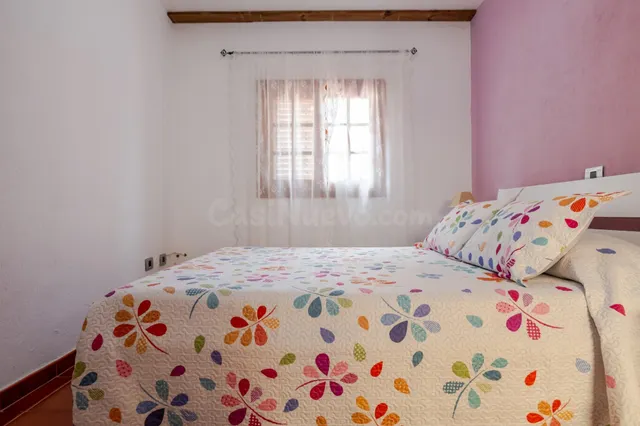 Finca de 20.000 m2 con vivienda principal, apartamento independiente y espacio para toda la familia — 33