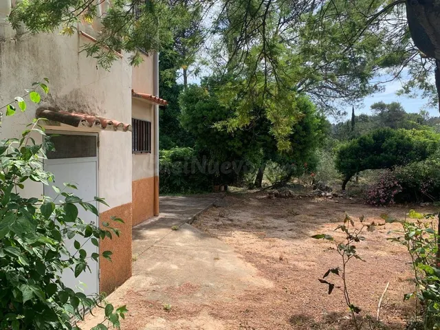 TU CASA CON TERRENO EN LA LLACUNA (VILLALONGA) - foto 5